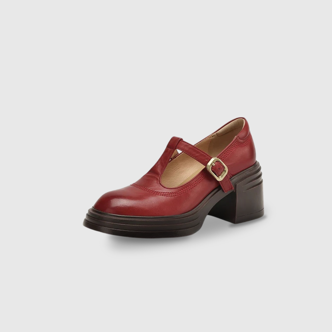Naomi | Women's Chunky Block Heel Mary Jane Pumps Round Toe Strap