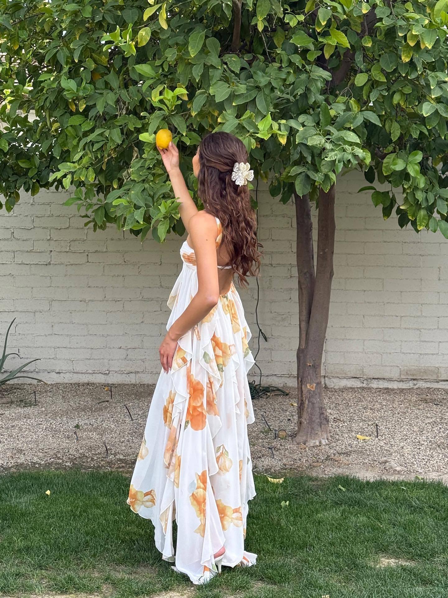 Marlowe | Refined Halter Maxi Dress