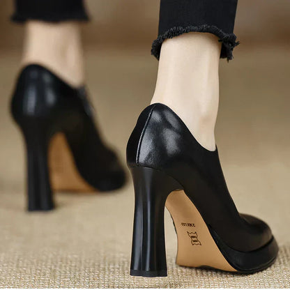 Natasha | Women's High Heel Pumps Platform Block Heel Side Zipper